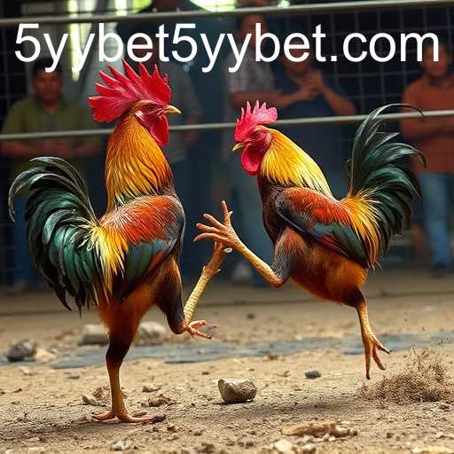 The Rise of Online Sabong: Exploring the 5yybet Phenomenon
